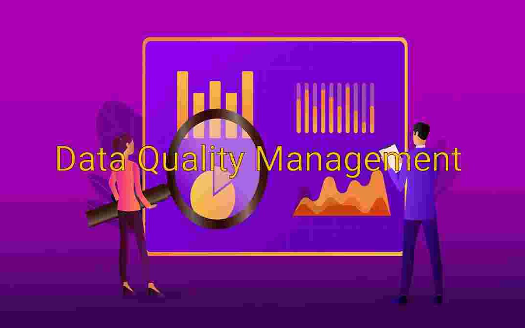 Data Quality Management